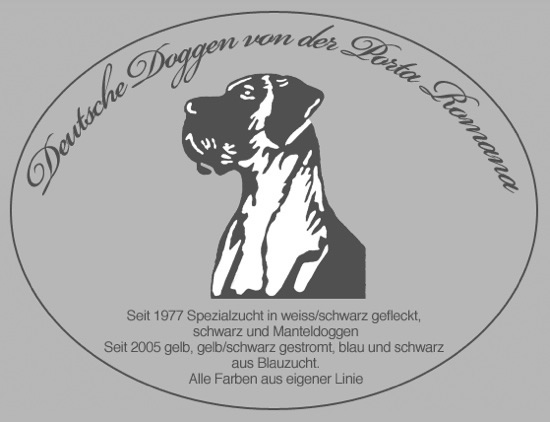 Deutsche Doggen von der Porta Romana